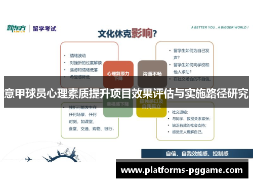 意甲球员心理素质提升项目效果评估与实施路径研究