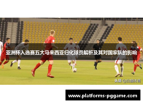 亚洲杯入选赛五大马来西亚归化球员解析及其对国家队的影响