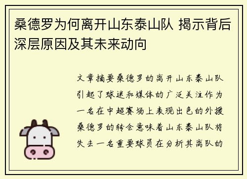 桑德罗为何离开山东泰山队 揭示背后深层原因及其未来动向