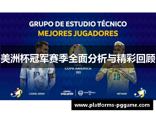 美洲杯冠军赛季全面分析与精彩回顾