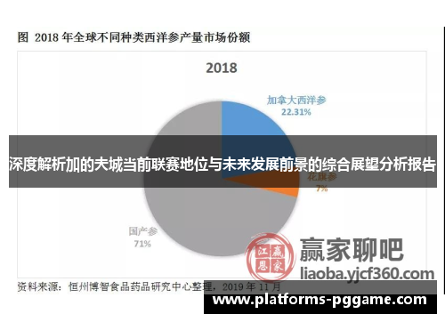深度解析加的夫城当前联赛地位与未来发展前景的综合展望分析报告 深度解析加的夫城当前联赛地位与未来发展前景的综合展望分析报告