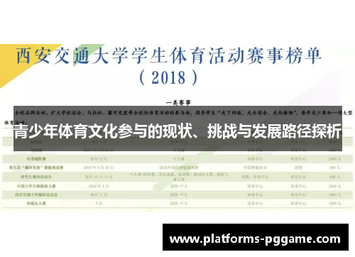青少年体育文化参与的现状、挑战与发展路径探析