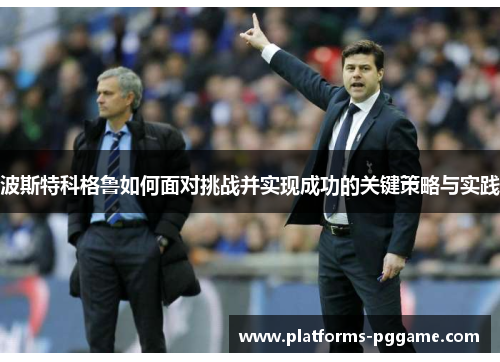 波斯特科格鲁如何面对挑战并实现成功的关键策略与实践