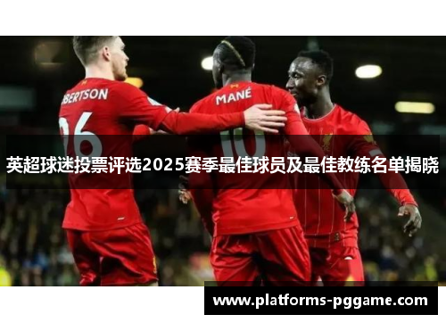 英超球迷投票评选2025赛季最佳球员及最佳教练名单揭晓