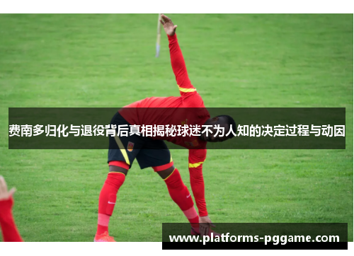 费南多归化与退役背后真相揭秘球迷不为人知的决定过程与动因